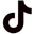 TikTok icon